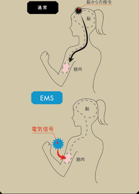 INBEAUTE EMS Body Set（インボーテ イーエムエス ボディ セット 